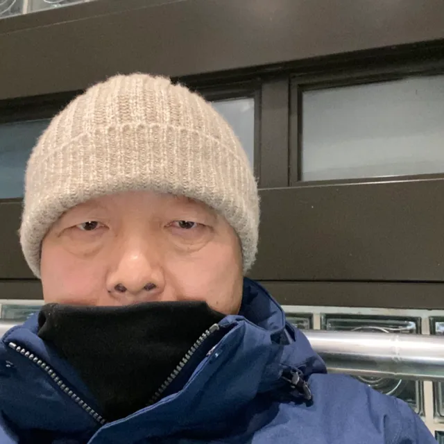 하일리