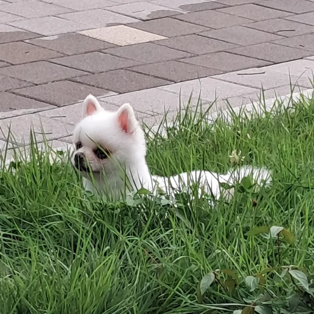 구함