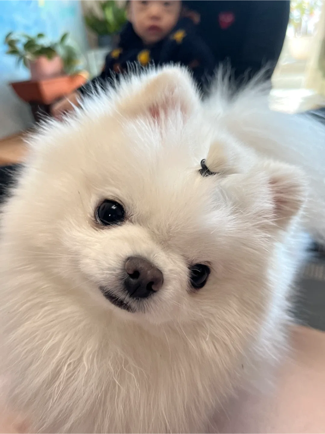 쏨쏘로쏨