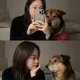 윤셔플