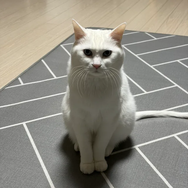 오송코코사랑남