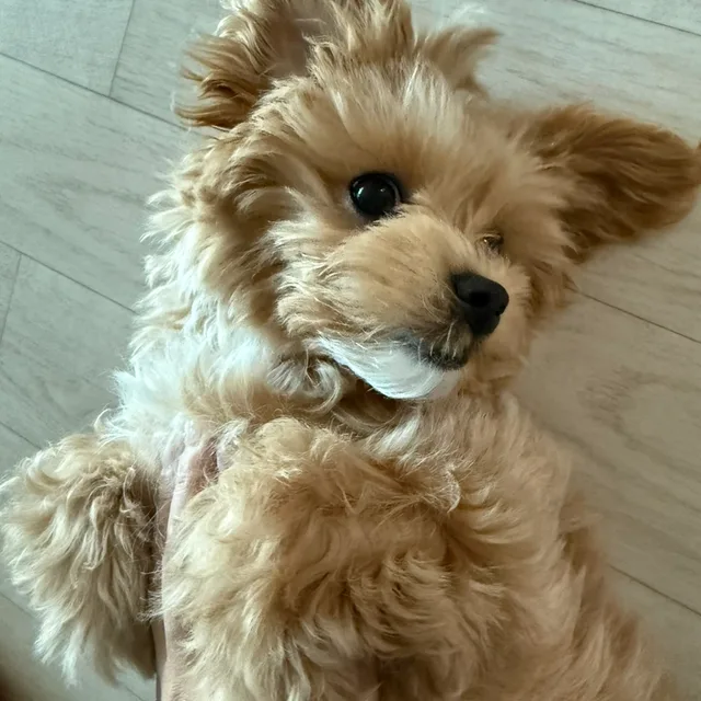 쏘오
