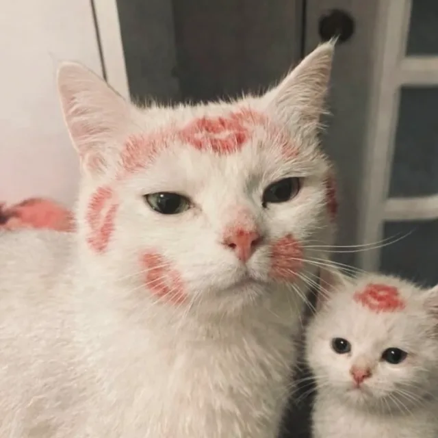 록록이