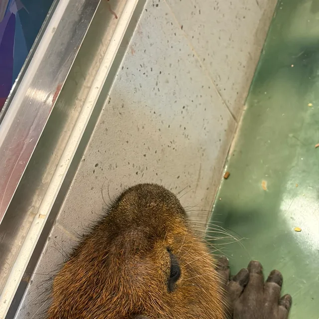 뿜뿜