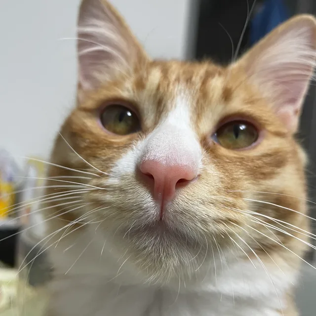 와징