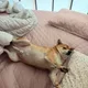 우쓰
