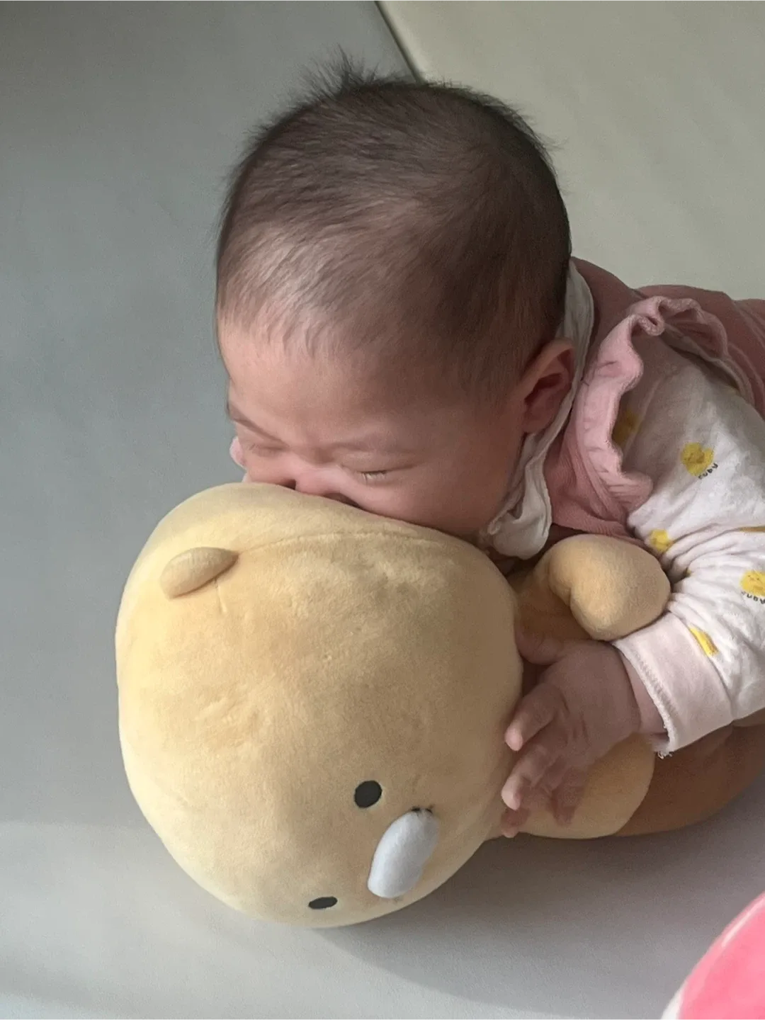 승쨩이