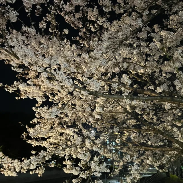 거래는정상인만