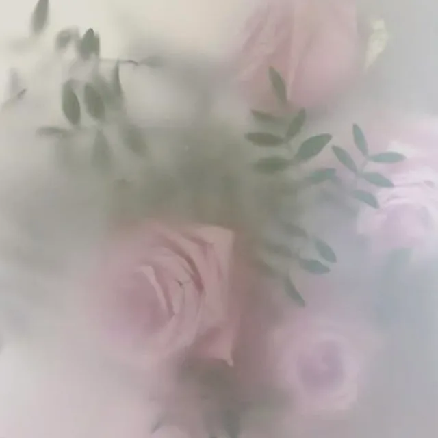 유시아