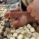 알콩달콩이
