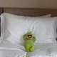 필레미뇽
