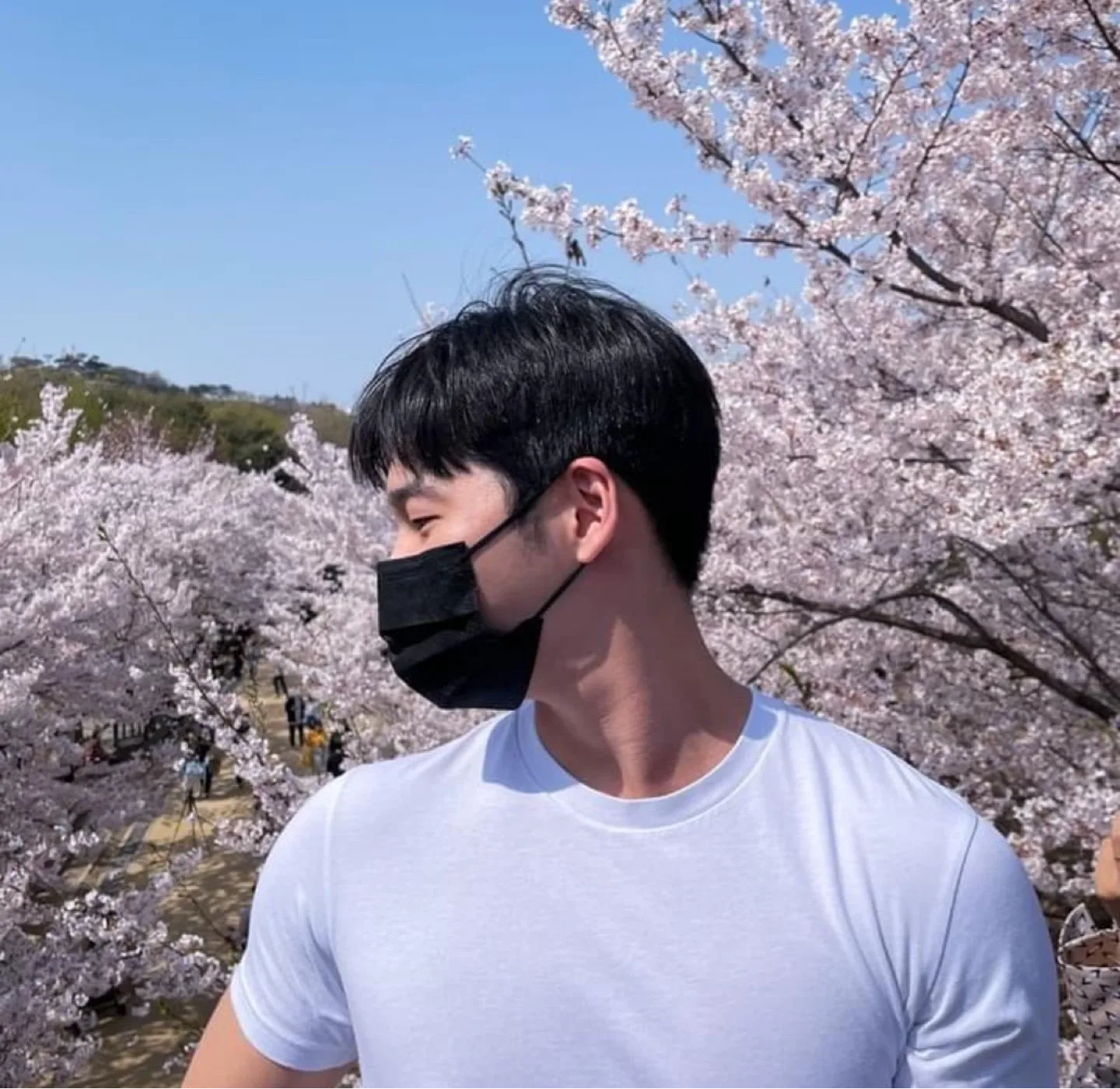 별이
