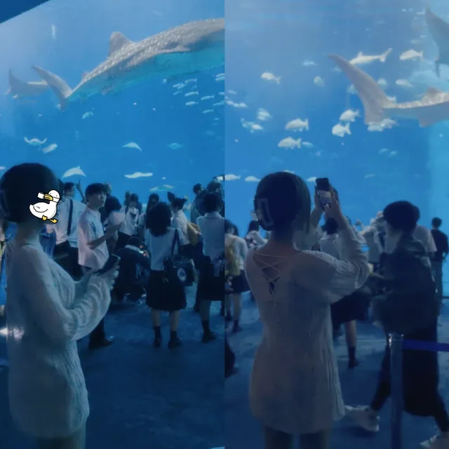 한채희