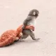 채링