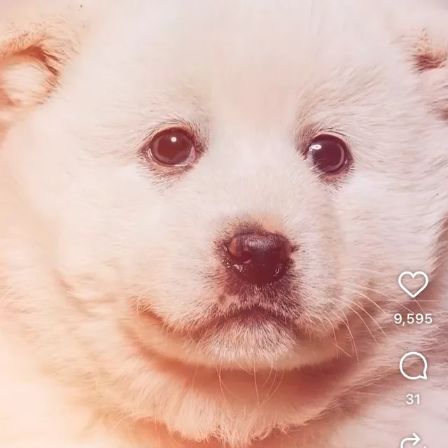000