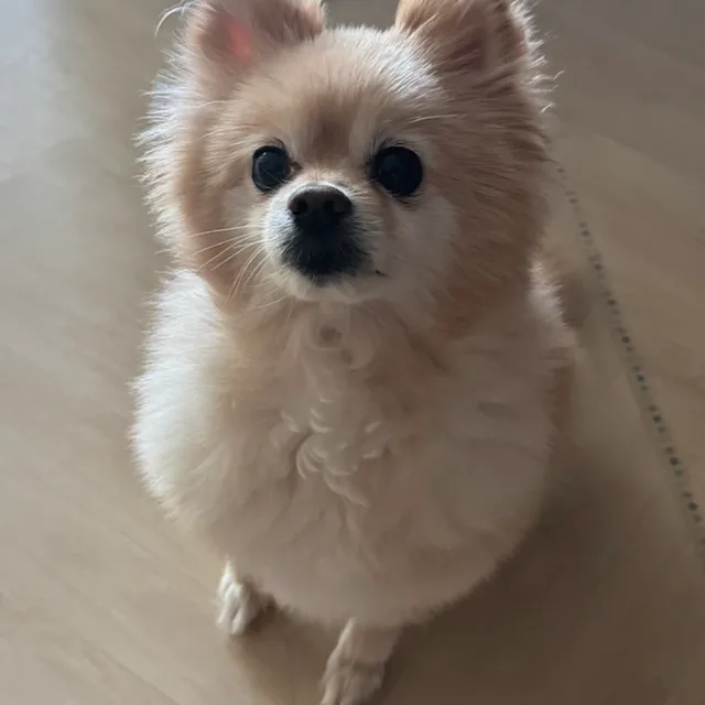와니상점