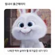 카페에클레어