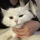 별이