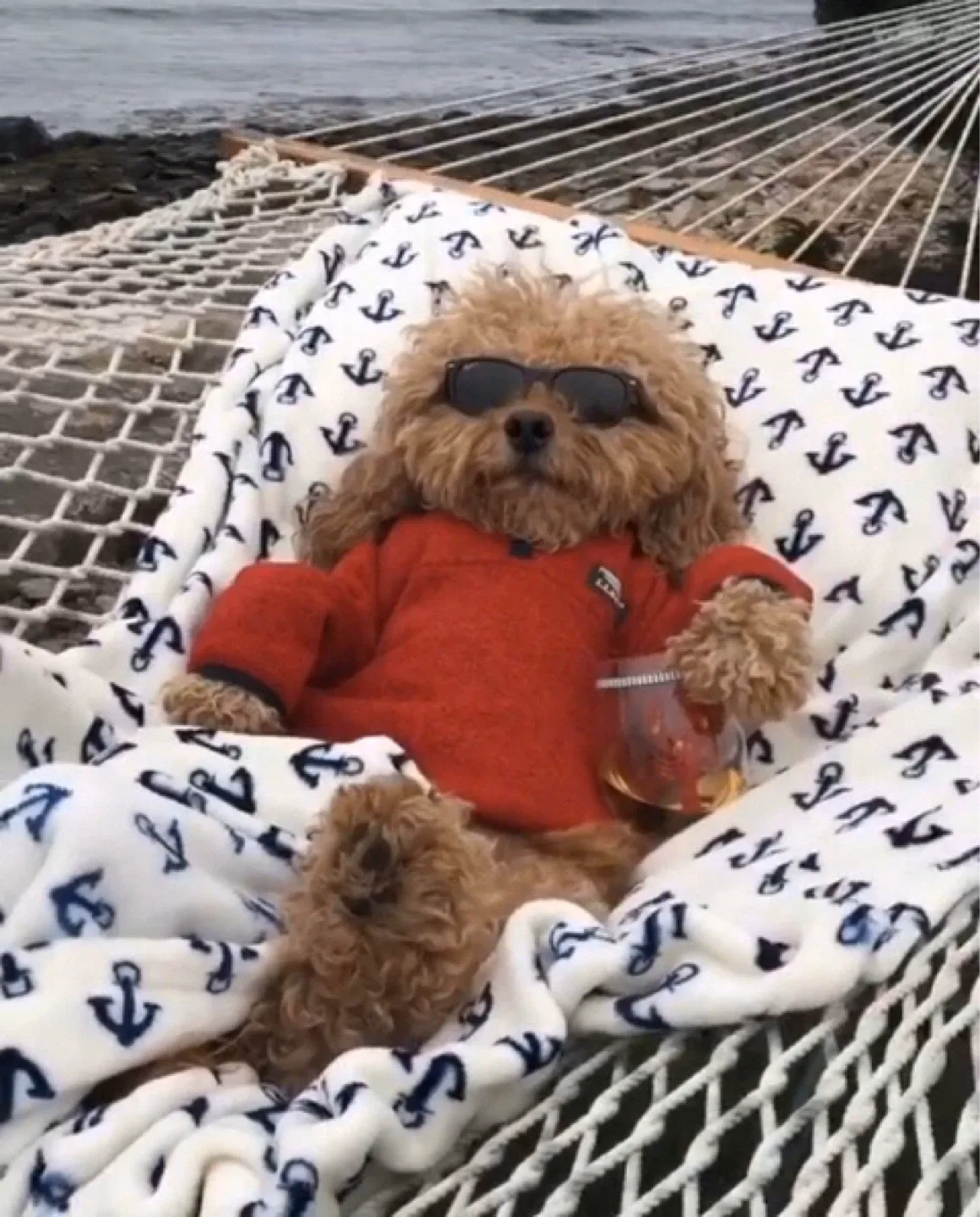 장생이