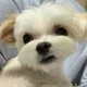 뭉뭉망망