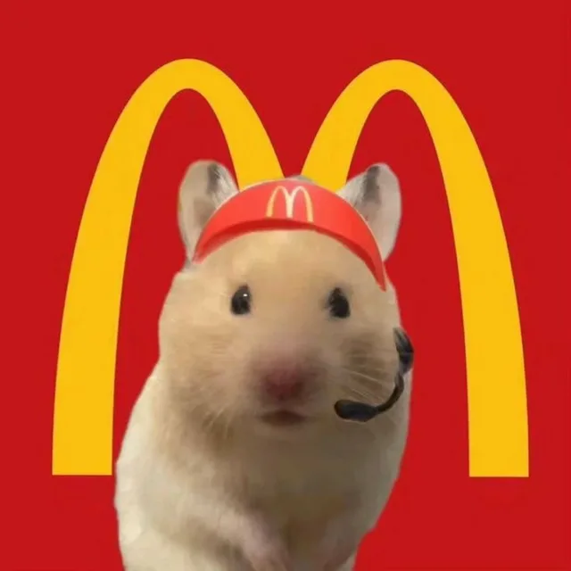 띠용슨타이거
