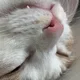 갱이쀼루