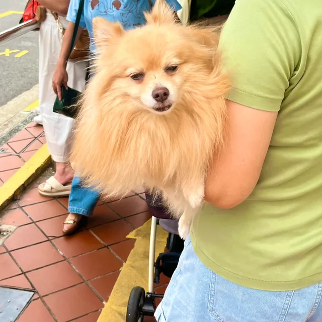 나토리