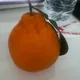 입두