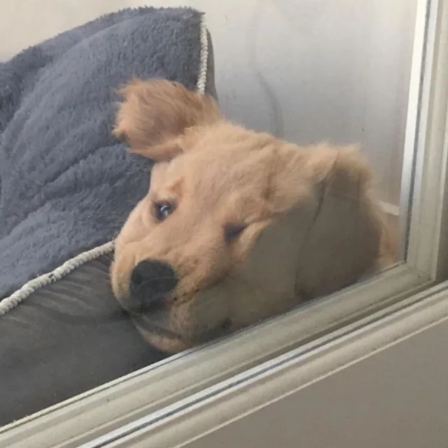 쑤쏭