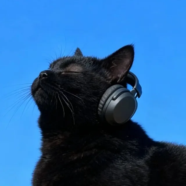 오하요