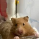 공백