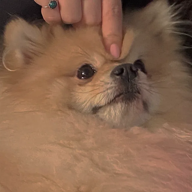 서촌의밥이