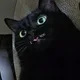 이쭈