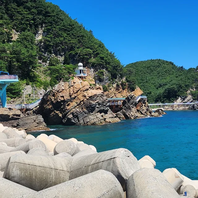 보통사람z