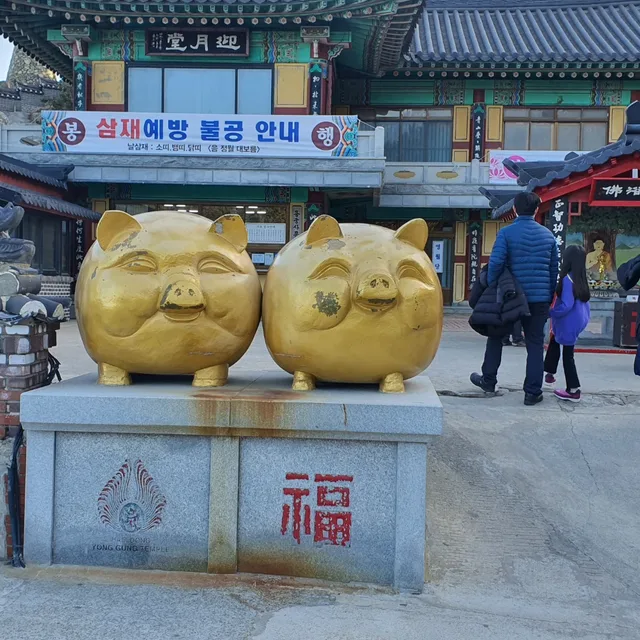 돈돼지
