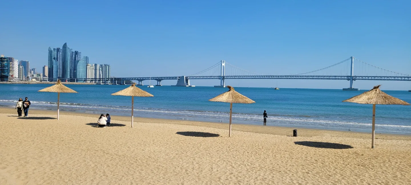 등대