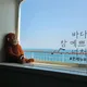 봄봄