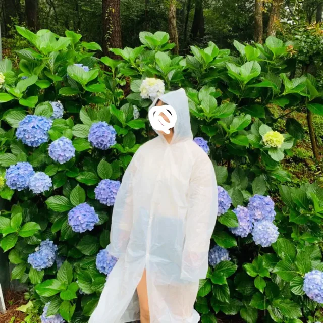당근소녀