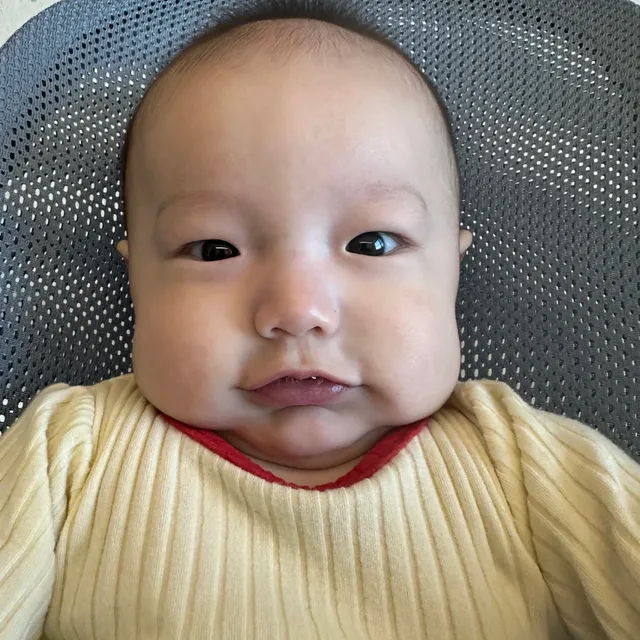 팔팔