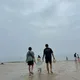 지채파파