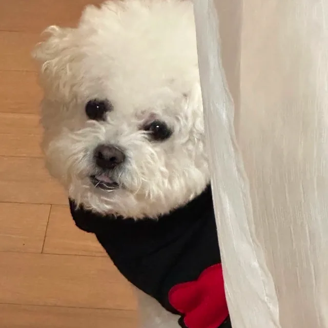 구름구름