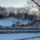 이연
