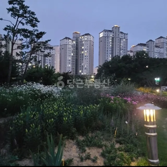 김스타파라곤