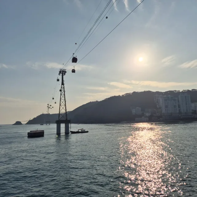 당근해요