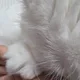 만두