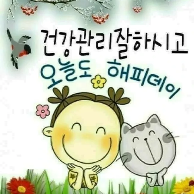 해피데이