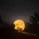 Mooooon
