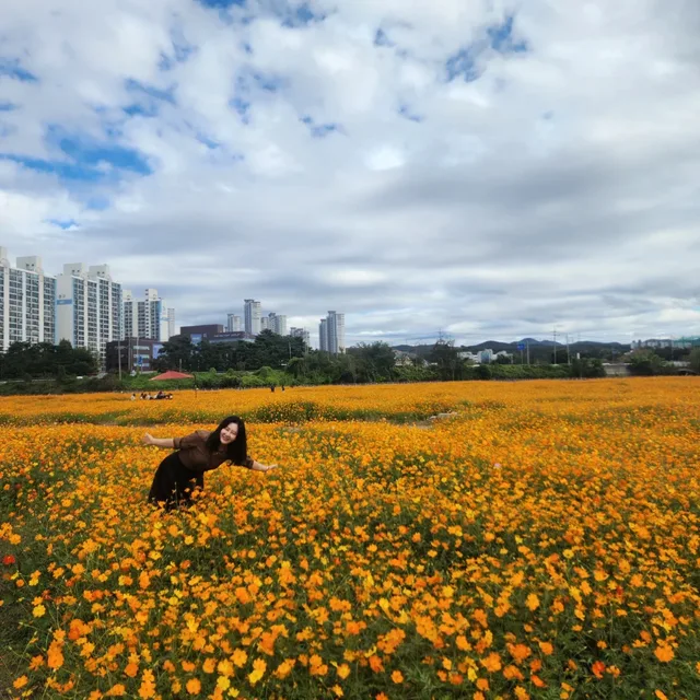 영화처럼