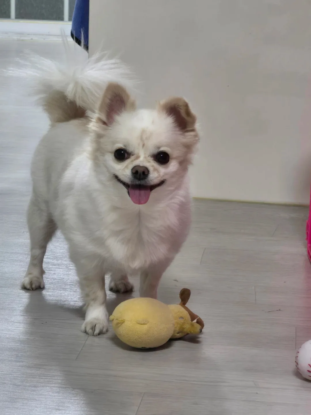 루이맘