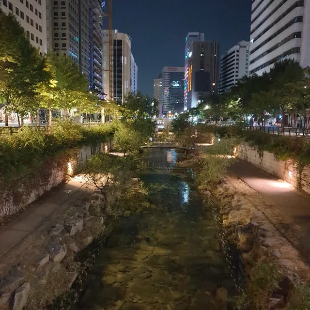 달빛이좋아
